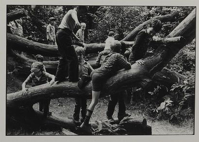 null Charlie ABAD (1948)
Grimpette sur l'arbre. c.1980
Epreuve argentique d'époque....