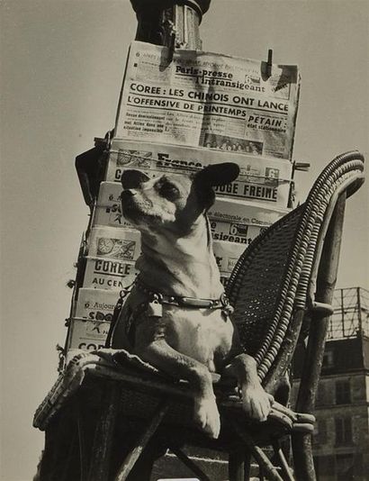null IZIS (1911-1980)
Un curieux vendeur de presse, Paris, 1949.
Epreuves argentique...