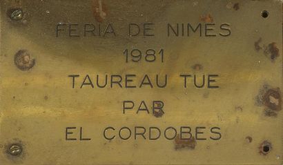 null FRONTAL DE TAUREAU
Feria de Nîmes 1981.
Estoqué par El Cordobès