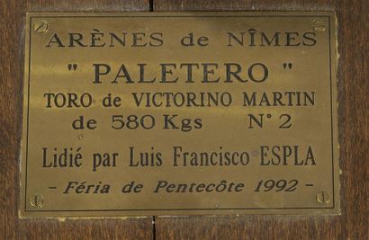 null TETE DE TAUREAU NATURALISEE 
de la ganaderia de D. Victorino MARTIN, nom "Paletero",...