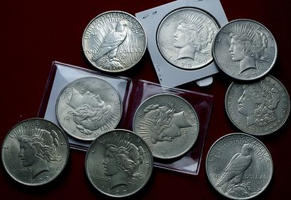 null USA.
Lot de 9 pièces de 1 Dollar : Morgan 1921D, Liberty 1922 (5 ex.), 1923...