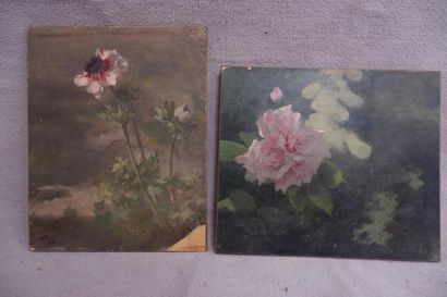 null G. BIENVETU (XIXe siècle). Anémone, 1878 et Rose. Deux huiles sur carton (manques)...