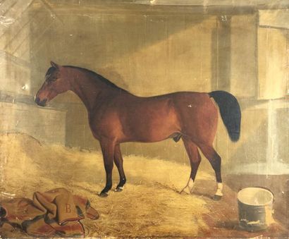 null Ecole anglaise du début du XXe siècle
Portraits de chevaux.
Deux huiles sur...