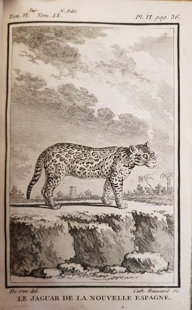 null BUFFON, 
- Histoire naturelle, générale et particulière, Paris, XVIIIe siècle,...