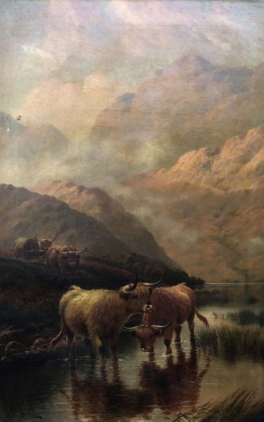 null Harry HALL (1814-1882) 
"Highland cattle, Loch Coriusk" et "Denizens of the...
