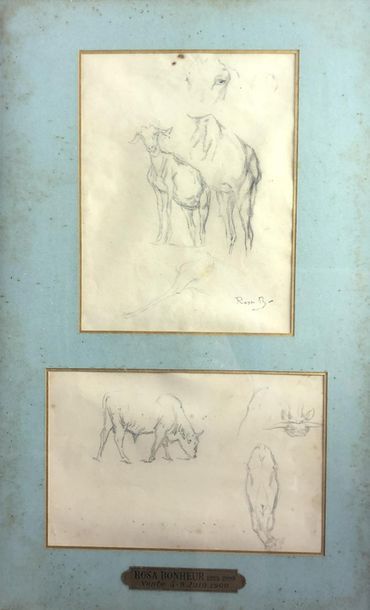 Rosa BONHEUR (1822-1899) Etudes de chevaux....