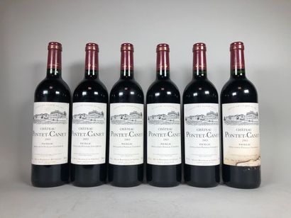 null 6 bouteilles de Château PONTET CANET (Pauillac) 	Très belles 2003