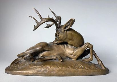 null Antoine-Louis BARYE (1795-1875)
Cerf de Virginie couché.
Epreuve en bronze à...