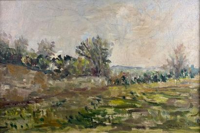 null Jean DREYFUS-STERN (1890-1980)
Paysage champêtre.
Huile sur toile.
27 x 41,5...
