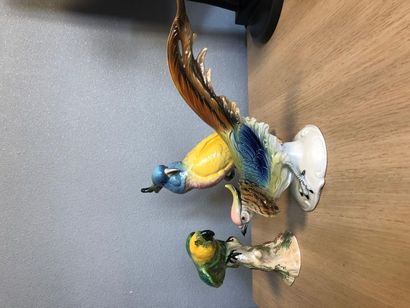 null Three porcelain bird figurines: a parrot (England), a pheasant and a macaw (accident...