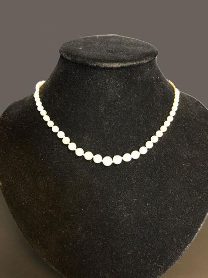  Collier de quatre-vingt-sept perles de culture, le fermoir nœud en or blanc 18K...