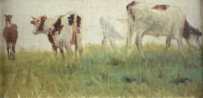  Rosa BONHEUR (1822-1899) (attribué à) Etude de vaches. Huile sur carton, attribution...