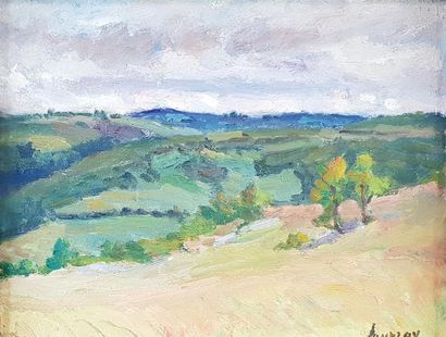  Abel LAUVRAY (1870-1950) Plunging view of a hill. Oil on strong paper mounted on...