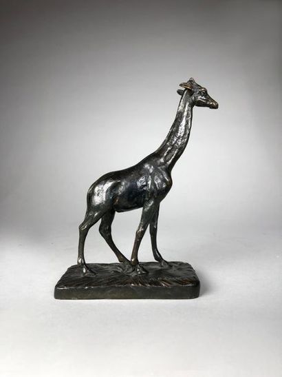 null Alfred BARYE (1839-1882)
La girafe.
Epreuve en bronze à patine brun vert foncé...