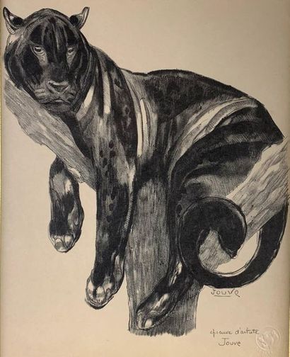 null Paul JOUVE (1878-1973)
Panthère branchée						.
	Lithographie originale, épreuve...