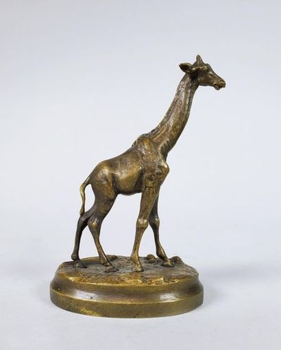 Ecole française du XIXe siècle La girafe....