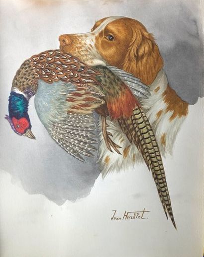 null Jean HERBLET (1893-1985)
Brittany Spaniel reporting.
Gouache signed below to...