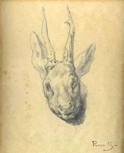  Rosa BONHEUR (1822-1899) Deer head. Pencil drawing. Stamp of the workshop at the...