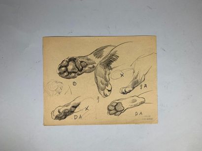 null André MARGAT (1903-1999)
Studies of fennecs and lion's paws.
Two drawings in...