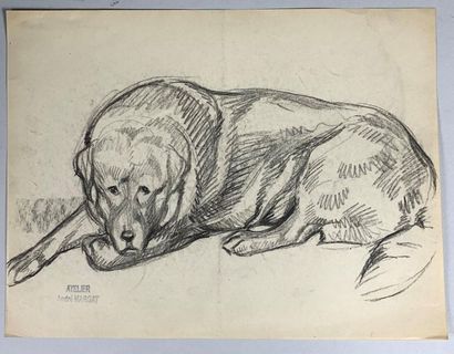 null André MARGAT (1903-1999)
Etude de teckel et de berger.
Deux dessins au crayon...