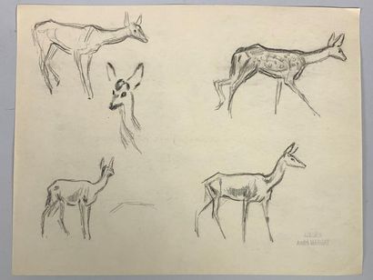 null André MARGAT (1903-1999)
Reclining fawn and hinds.
Two drawings in bold pencil....
