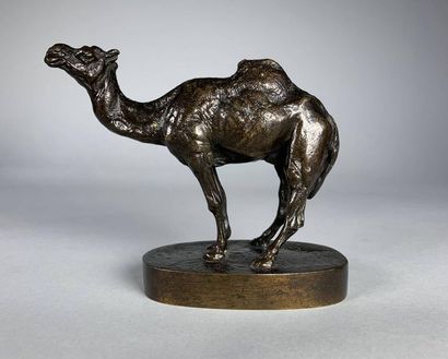 null Ecole française du XIXe siècle 
Le dromadaire.
Epreuve en bronze à patine brun...