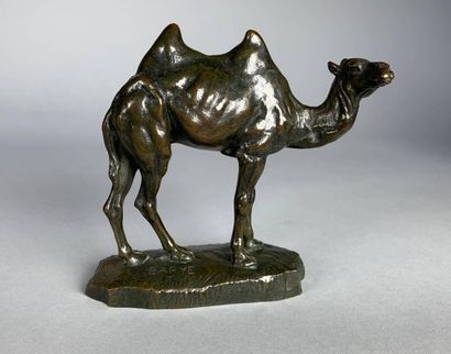Antoine-Louis BARYE (1795-1875) Petit chameau...
