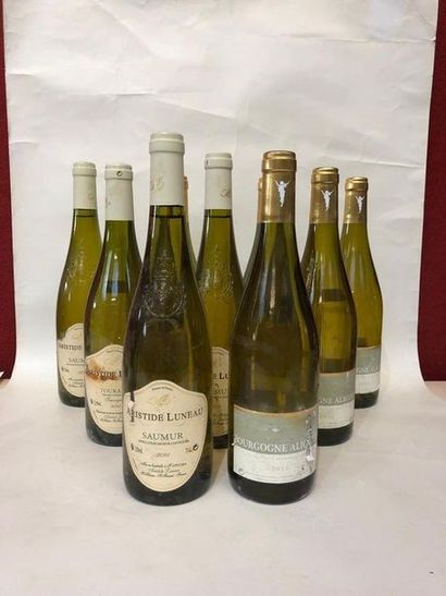 null Neuf bouteilles de vin blanc :
- Cinq Bourgogne Aligoté 2015
- Trois Aristide...