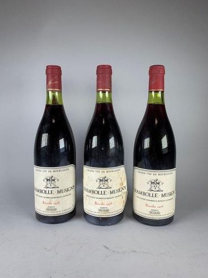 Trois bouteilles de Chambolle Musigny. Nicolas...