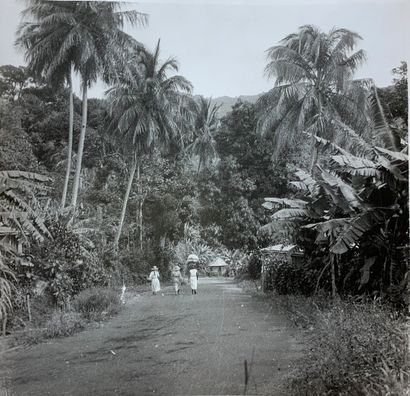 null 
Lucien GAUTHIER
Twelve silver prints concerning Guadeloupe including the surroundings...