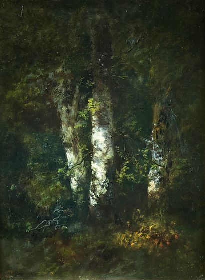 null 
Narcisse DIAZ de la PEÑA (1807-1867)




Trois arbres en forêt.




Huile sur...