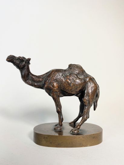 null Hippolyte HEIZLER (1828-1871)

Le dromadaire.

Epreuve en bronze à patine brun...