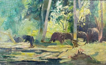 null Guillaume VAN STRYDONCK (1861-1937)

Les éléphants au travail à Mysore.

Huile...