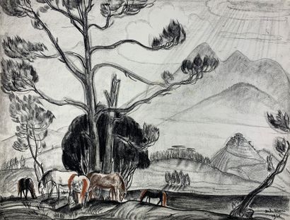null André MAIRE (1898-1984)

"La montagne Lang Biang et le lac, Dalat", 1956.

Fusain...