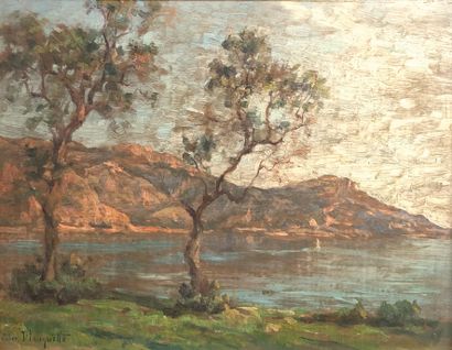 null Félix PLANQUETTE (1873-1964)

Paysage de la côte d'Azur, fin de journée.

Huile...
