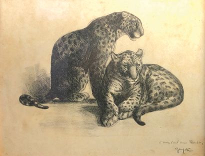 Lucien GUYOT (1885-1973)

Two panthers.

Lithograph...