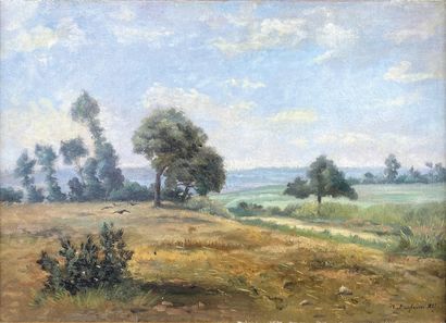 DANFRESNE (XIXe siècle)

Paysage de campagne,...