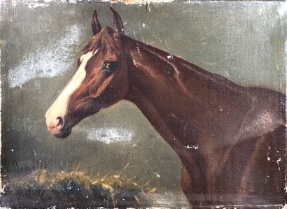 null Charles BOMBLED (1862-1927)

Portrait de cheval.

Huile sur toile signée en...