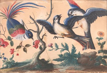 Ecole française du XVIIIe siècle

Oiseaux.

Gouache...