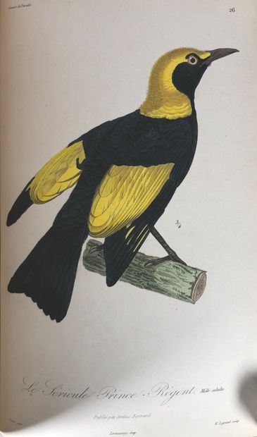 null LESSON, Histoire naturelle des oiseaux-mouches (un volume de texte et un volume...