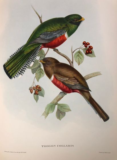 null Mr Gould's tropical birds, edited and introduced by Eva Mannering. Ariel Press,...