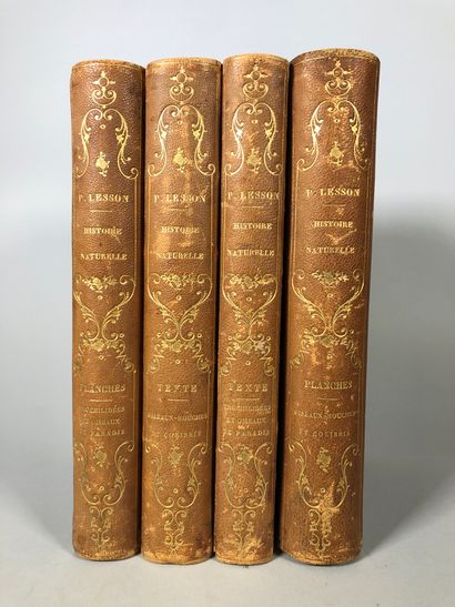 null LESSON, Histoire naturelle des oiseaux-mouches (un volume de texte et un volume...