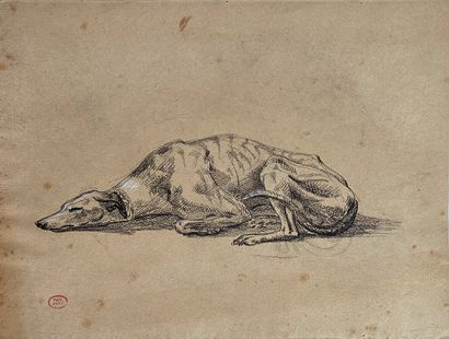 null Paul HUET (1803-1869)
Lévrier couché.
Crayon noir et rehauts de craie blanche...