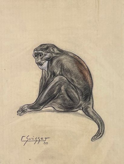 null Gaston SUISSE (1896-1988)
Cercopithecus of Moustac, 1930.
Pencil and oil pastel,...