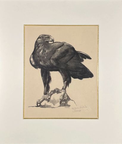 null Paul JOUVE (1878-1973)
Royal eagle.
Original lithograph, black print. Artist's...