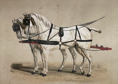 null Two lithographs:
- A. ADAM after LENE JANSON, harness makers. Post carriage...