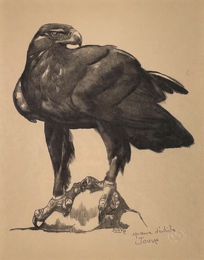 null Paul JOUVE (1878-1973)
Royal eagle.
Original lithograph, black print. Artist's...