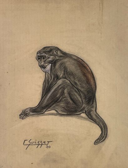 null Gaston SUISSE (1896-1988)
Cercopithecus of Moustac, 1930.
Pencil and oil pastel,...