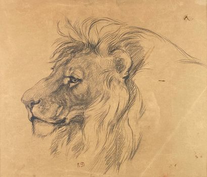 null French school of the 19th century
Head of a lion.
Drawing in graphite bearing...