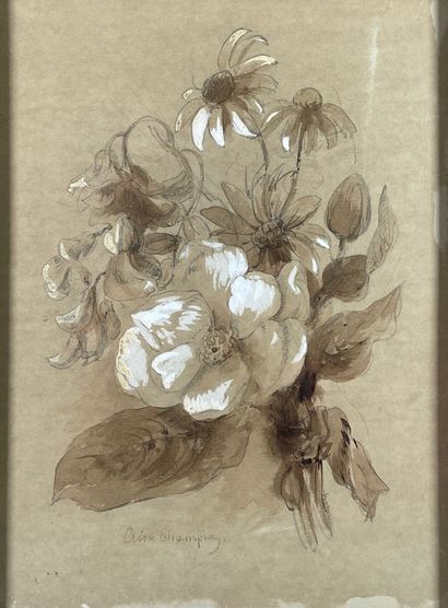 null Elisa Honorine Pitet CHAMPIN (?-1871). 
Bouquets. 
Three washes of sepia ink...